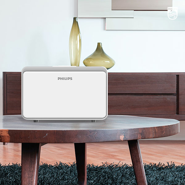 Ngoại quan của két sắt Philips SBX101